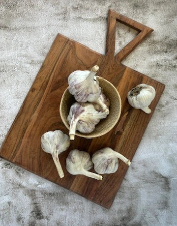 Russian Red Garlic 1 lb – Locally Grown, Bold Flavour — Garlic & Glow